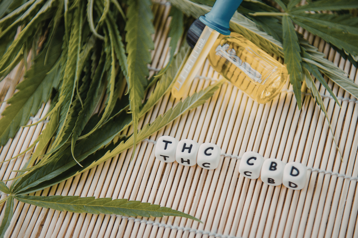 THC and CBD dice on display next to cannabis leaves and tinctures