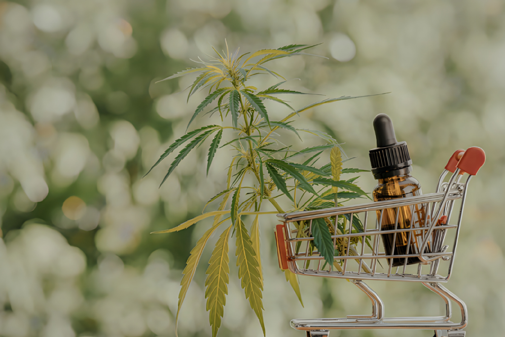 Cannabis plant and tincture bottle inside a small shopping cart