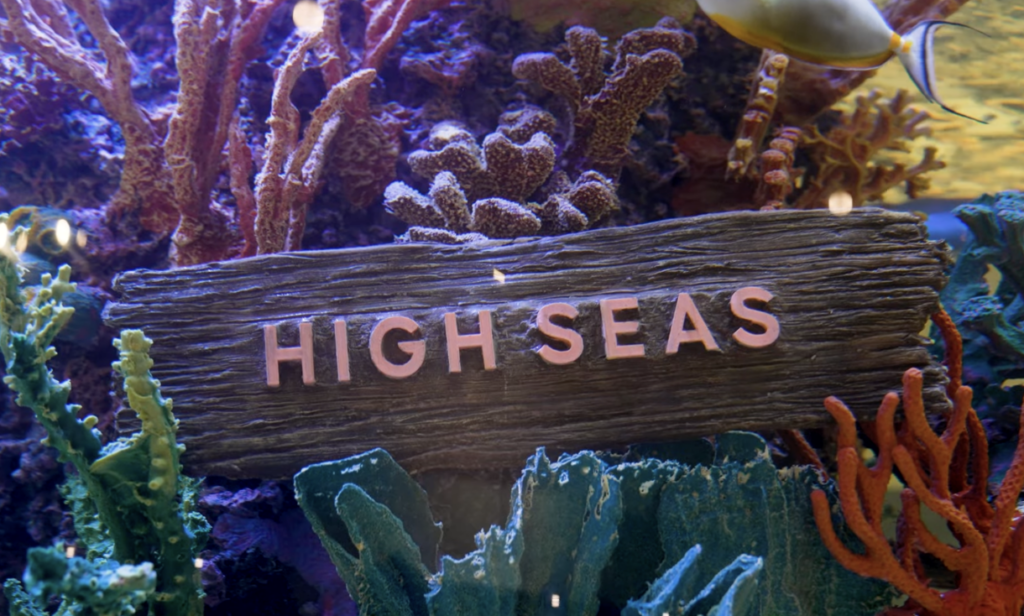 High Seas sign surrounded by colorful coral and marine life inside the store aquarium